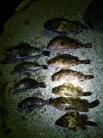 レッツメバリング