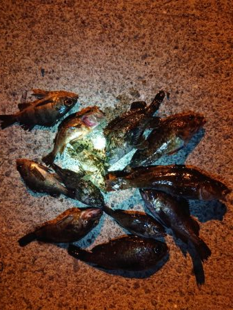 レッツメバリング