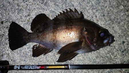 レッツメバリング