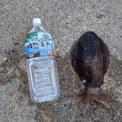 2ヶ月ぶりの久しぶりの釣果でした。