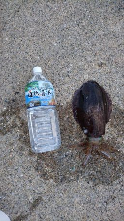 2ヶ月ぶりの久しぶりの釣果でした。