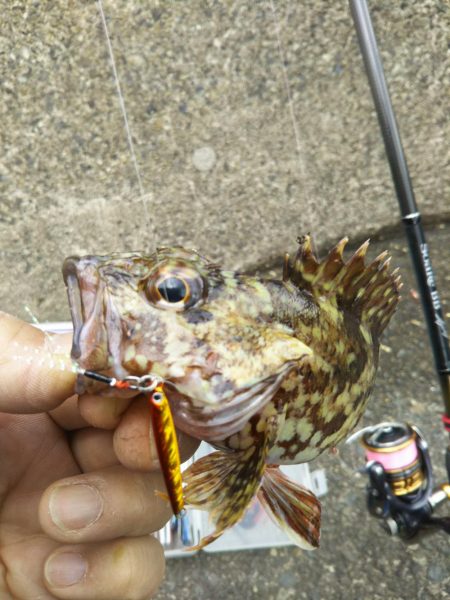 強風ガシリング