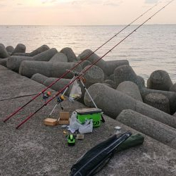 花見カレイ、アイナメ狙い