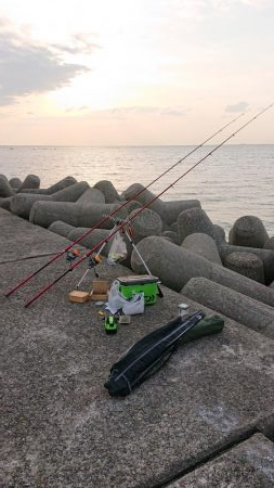 花見カレイ、アイナメ狙い