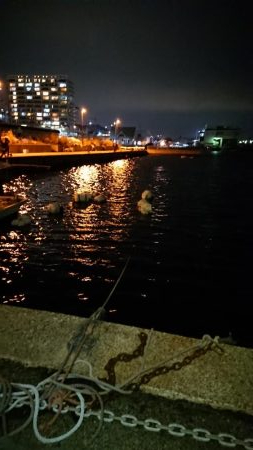 風にも負けずプラグ縛り