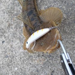 春が来たのかな?