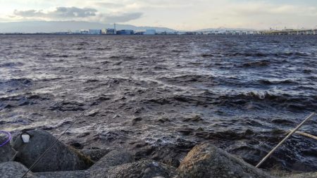 大荒れの中の一本