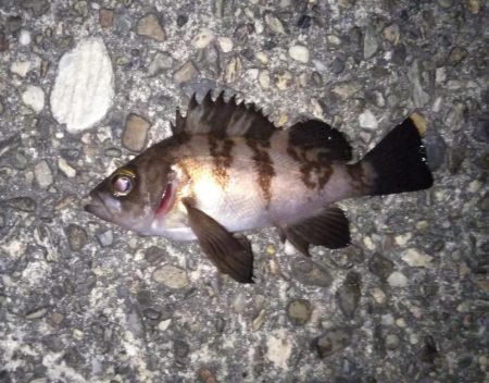 初めての場所でライトゲーム