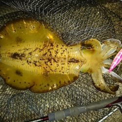 すくすくと成長。