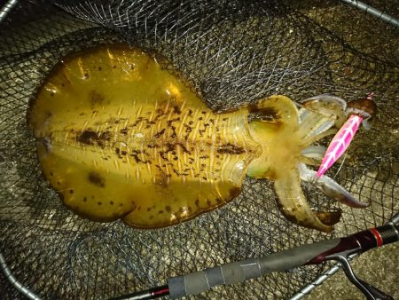 すくすくと成長。