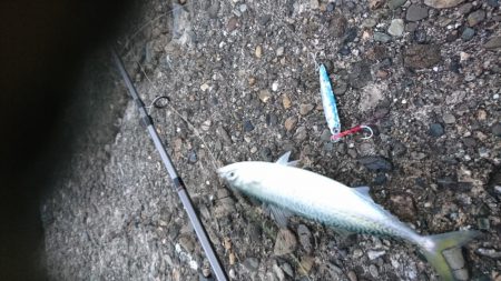 風でルアーが飛びません