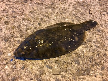 夜景をみながら