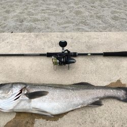 シモリパターン