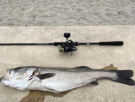 シモリパターン