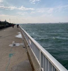 コノシロの反乱