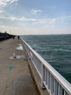 コノシロの反乱