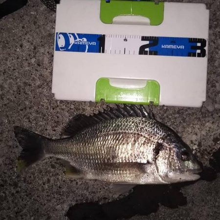 暖かくなったので……