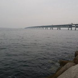 激シブメバリング