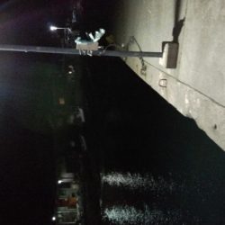 春らしくなって