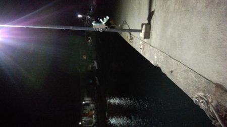 春らしくなって