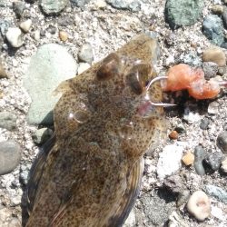 喰い渋るも気分爽快！　　穏やかな釣り日和