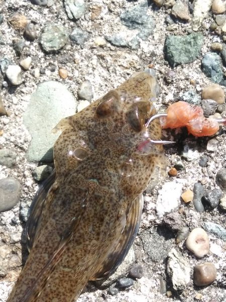 喰い渋るも気分爽快！　　穏やかな釣り日和