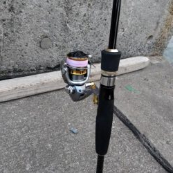 ウニのしゃぶしゃぶを食べに