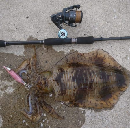 我慢できずで仕事終わりに。