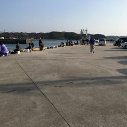 時合い無し 坊主か1匹