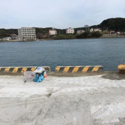 今日も好調　アジ33匹