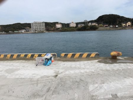 今日も好調　アジ33匹