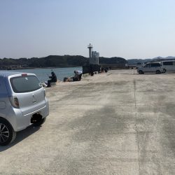 アジの地合い無し