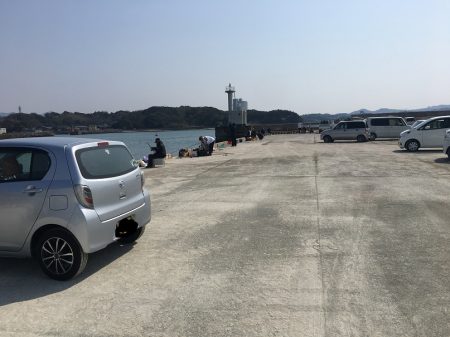 アジの地合い無し