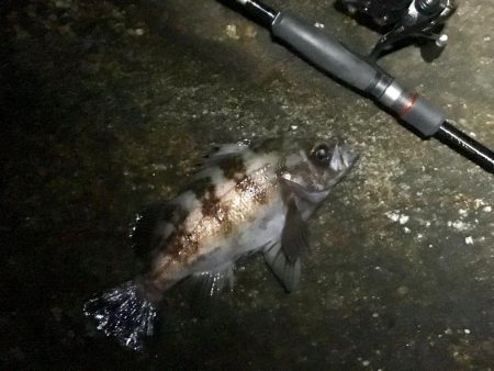 諦めたらそこで試合終了ですよ。