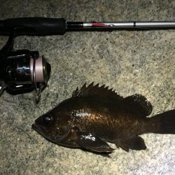 何処も鉄壁のディフェンスっ!!