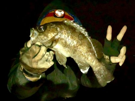 自己記録更新っ！！