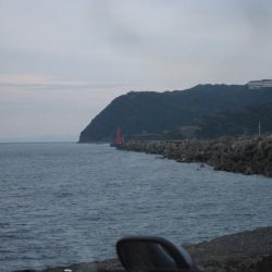 加太大波止でサバ