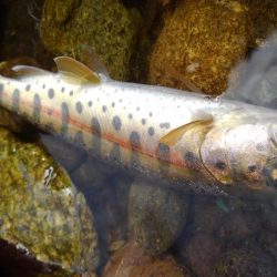 暖かくなったけど、渇水