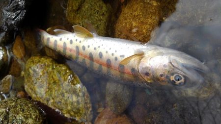 暖かくなったけど、渇水