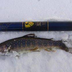 渓流釣り解禁後の初釣行