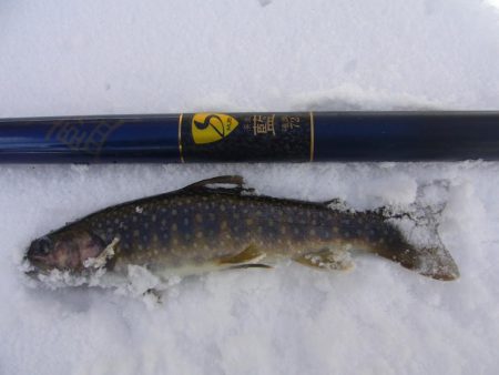 渓流釣り解禁後の初釣行