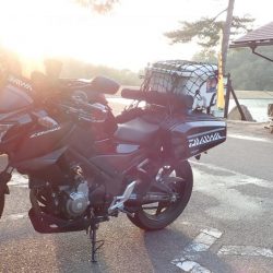 エリアトラウト（FRS）