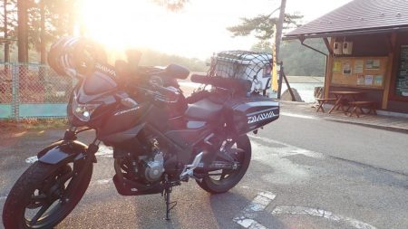 エリアトラウト（FRS）