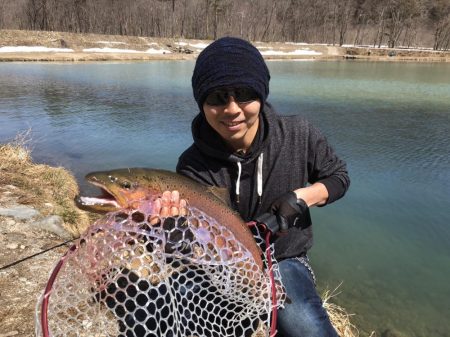 鹿島槍ガーデンでブラウン