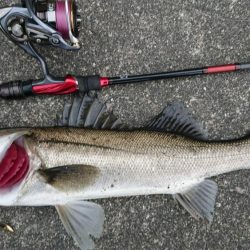 雨の前の短時間朝練！
