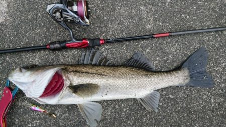 雨の前の短時間朝練！