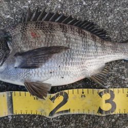 雨の日曜日三種目達成