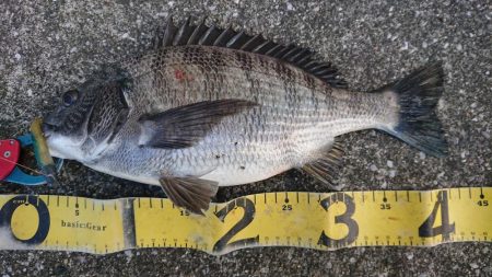 雨の日曜日三種目達成