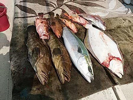 大物釣果速報！●光義丸：平戸市早福港