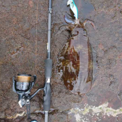 爆風覚悟で出撃